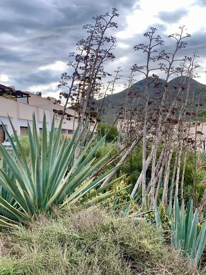 Ferienwohnung La Pita Del Pozo El Pozo de los Frailes 0*,  Spanien